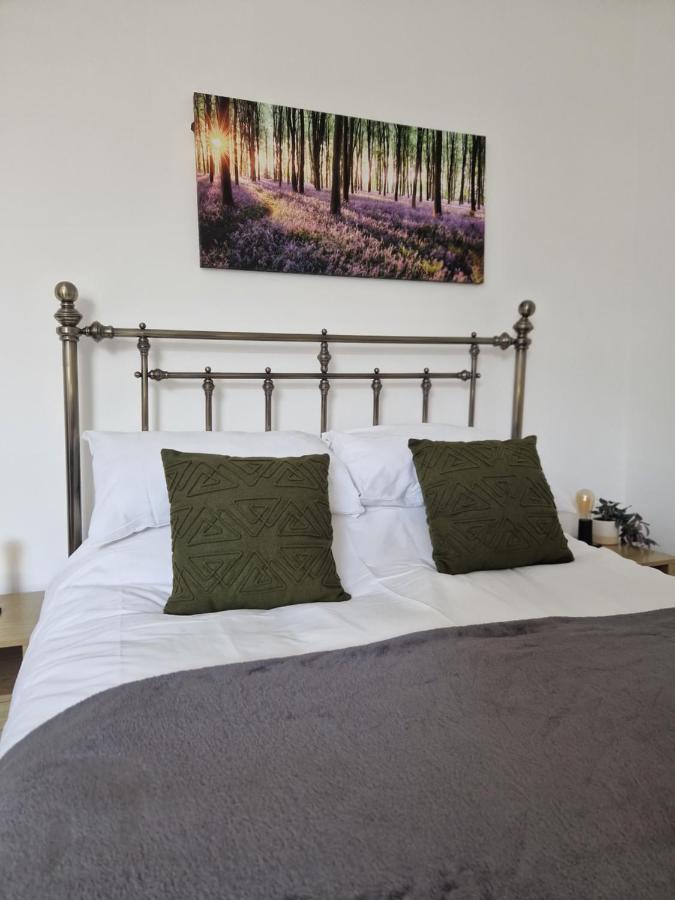 Direct Booking Prices, Studio Apartment, Free Parking, Wifi, Central, Quiet Exeter Eksteriør bilde